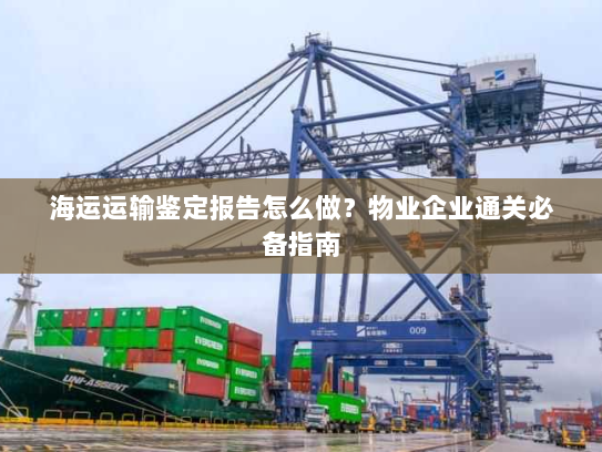 海运运输鉴定报告怎么做?物业企业通关必备指南 海运运输鉴定报告怎么做?物业企业通关必备指南