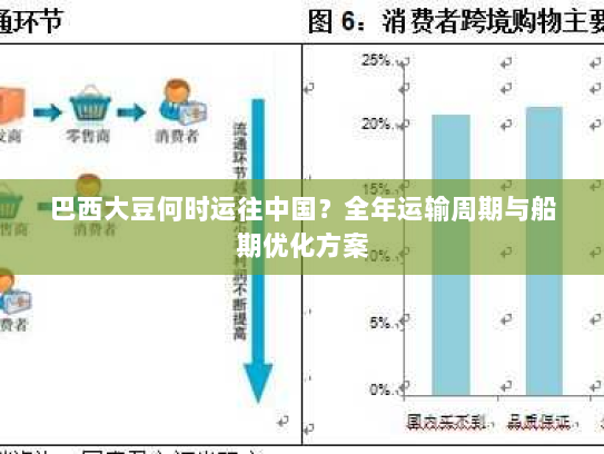 巴西大豆何时运往中国？全年运输周期与船期优化方案