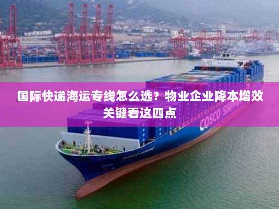 国际快递海运专线怎么选?物业企业降本增效关键看这四点 国际快递海运专线怎么选?物业企业降本增效关键看这四点
