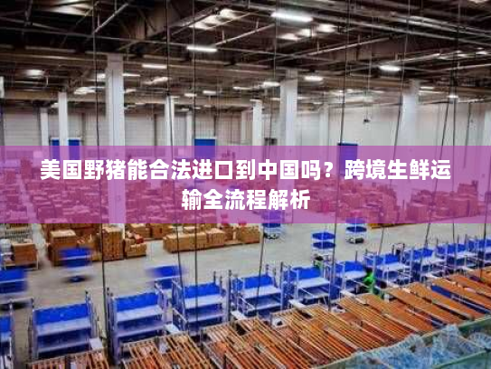 美国野猪能合法进口到中国吗?跨境生鲜运输全流程解析 美国野猪能合法进口到中国吗?跨境生鲜运输全流程解析
