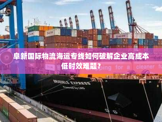 阜新国际物流海运专线如何破解企业高成本低时效难题？