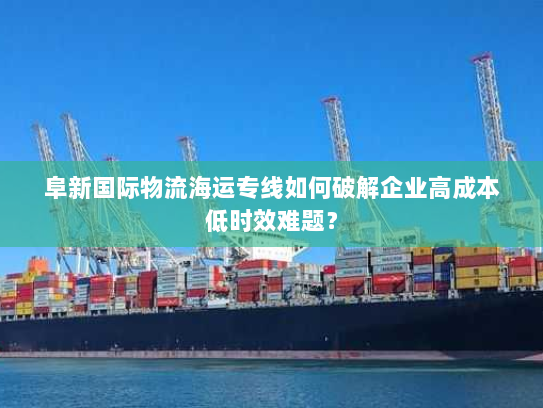 阜新国际物流海运专线如何破解企业高成本低时效难题？