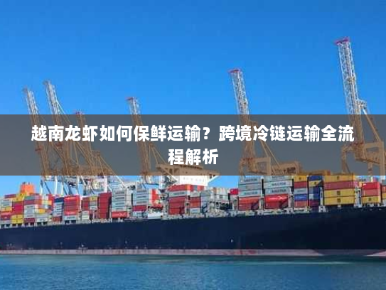 越南龙虾如何保鲜运输？跨境冷链运输全流程解析