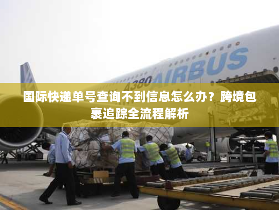 国际快递单号查询不到信息怎么办？跨境包裹追踪全流程解析