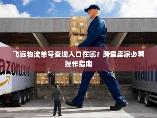 飞远物流单号查询入口在哪?跨境卖家必看操作指南 飞远物流单号查询入口在哪?跨境卖家必看操作指南