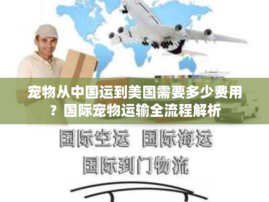 宠物从中国运到美国需要多少费用？国际宠物运输全流程解析