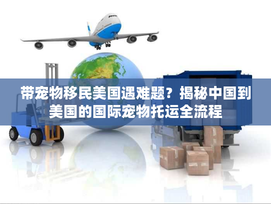 带宠物移民美国遇难题?揭秘中国到美国的国际宠物托运全流程 带宠物移民美国遇难题?揭秘中国到美国的国际宠物托运全流程