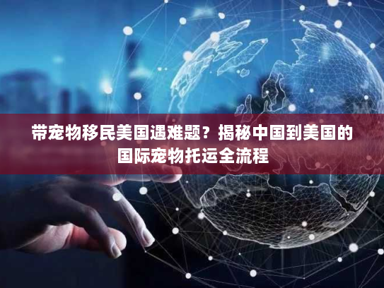 带宠物移民美国遇难题?揭秘中国到美国的国际宠物托运全流程 带宠物移民美国遇难题?揭秘中国到美国的国际宠物托运全流程