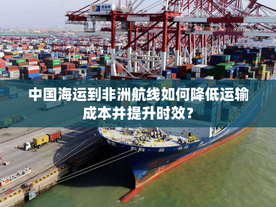 中国海运到非洲航线如何降低运输成本并提升时效? 中国海运到非洲航线如何降低运输成本并提升时效?