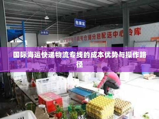 国际海运快递物流专线的成本优势与操作路径 国际海运快递物流专线的成本优势与操作路径