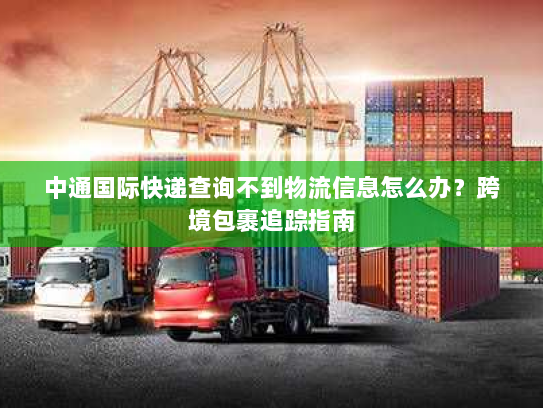 中通国际快递查询不到物流信息怎么办？跨境包裹追踪指南