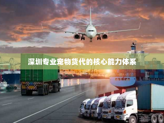 深圳专业宠物货代的核心能力体系 深圳专业宠物货代的核心能力体系
