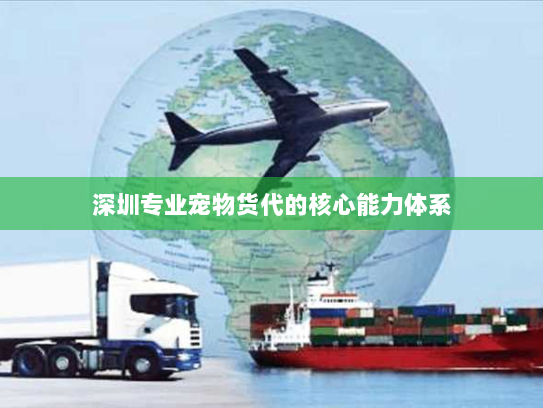 深圳专业宠物货代的核心能力体系 深圳专业宠物货代的核心能力体系