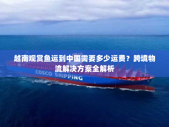 越南观赏鱼运到中国需要多少运费？跨境物流解决方案全解析