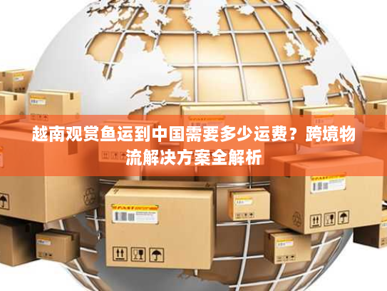 越南观赏鱼运到中国需要多少运费？跨境物流解决方案全解析