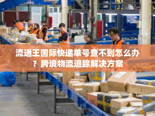 流通王国际快递单号查不到怎么办？跨境物流追踪解决方案