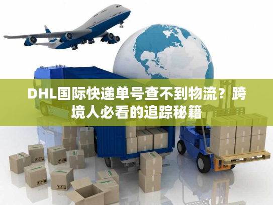 DHL国际快递单号查不到物流？跨境人必看的追踪秘籍