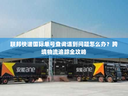 联邦快递国际单号查询遇到问题怎么办?跨境物流追踪全攻略 联邦快递国际单号查询遇到问题怎么办?跨境物流追踪全攻略