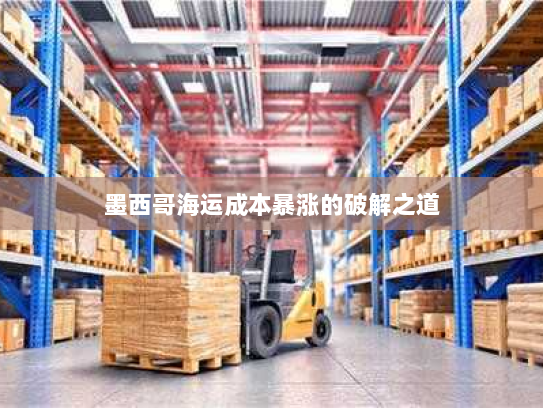 墨西哥海运成本暴涨的破解之道 墨西哥海运成本暴涨的破解之道