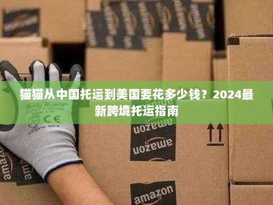 猫猫从中国托运到美国要花多少钱?2024最新跨境托运指南 猫猫从中国托运到美国要花多少钱?2024最新跨境托运指南