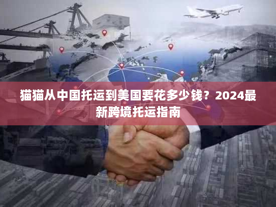猫猫从中国托运到美国要花多少钱?2024最新跨境托运指南 猫猫从中国托运到美国要花多少钱?2024最新跨境托运指南