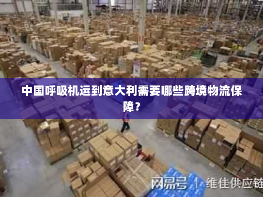 中国呼吸机运到意大利需要哪些跨境物流保障？