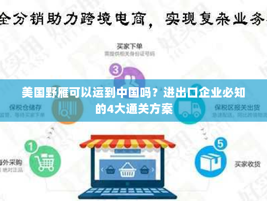 美国野雁可以运到中国吗？进出口企业必知的4大通关方案