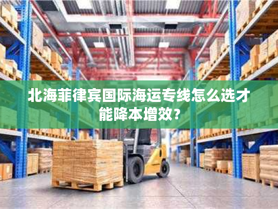 北海菲律宾国际海运专线怎么选才能降本增效？