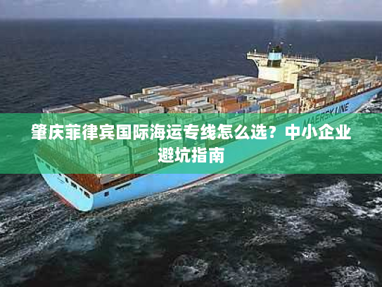 肇庆菲律宾国际海运专线怎么选?中小企业避坑指南 肇庆菲律宾国际海运专线怎么选?中小企业避坑指南
