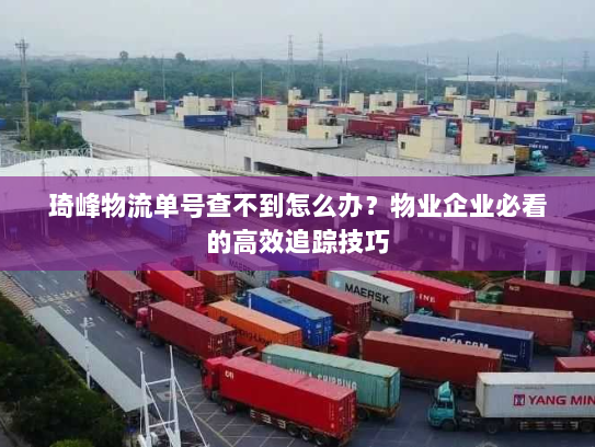 琦峰物流单号查不到怎么办？物业企业必看的高效追踪技巧