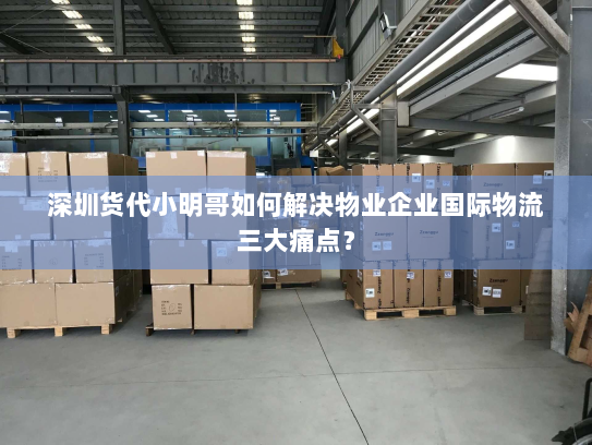 深圳货代小明哥如何解决物业企业国际物流三大痛点? 深圳货代小明哥如何解决物业企业国际物流三大痛点?