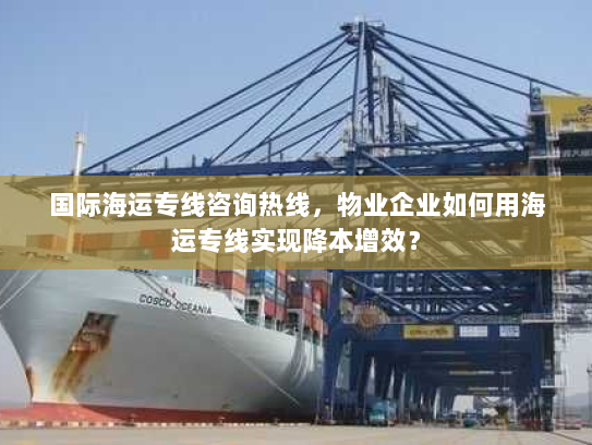 国际海运专线咨询热线，物业企业如何用海运专线实现降本增效？