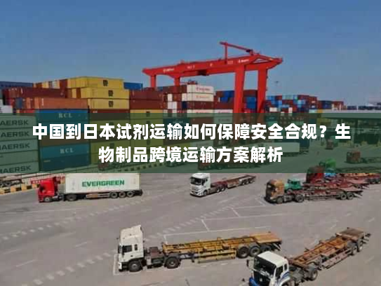 中国到日本试剂运输如何保障安全合规?生物制品跨境运输方案解析 中国到日本试剂运输如何保障安全合规?生物制品跨境运输方案解析
