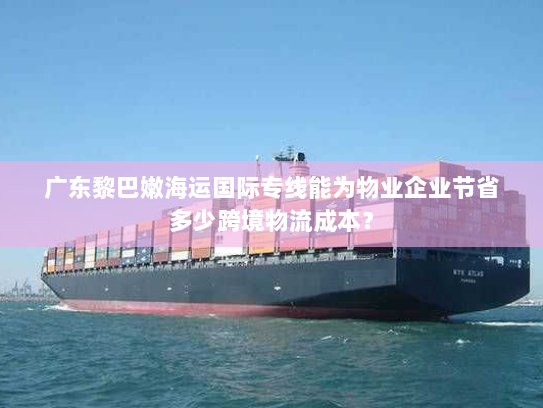 广东黎巴嫩海运国际专线能为物业企业节省多少跨境物流成本? 广东黎巴嫩海运国际专线能为物业企业节省多少跨境物流成本?