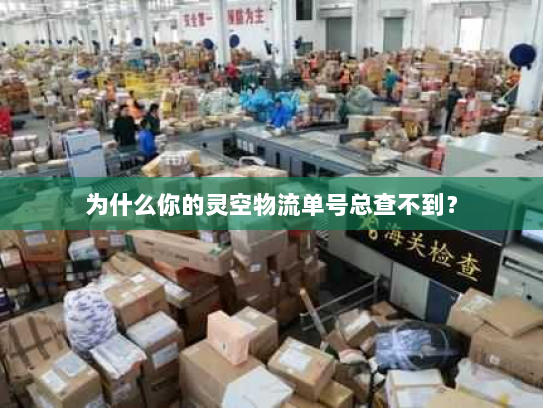 为什么你的灵空物流单号总查不到? 为什么你的灵空物流单号总查不到?