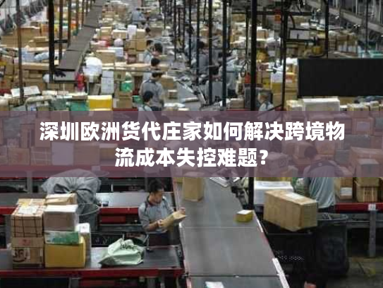 深圳欧洲货代庄家如何解决跨境物流成本失控难题？