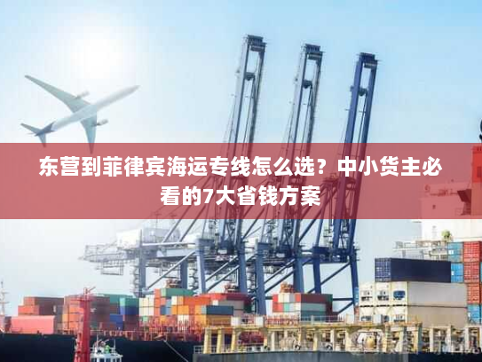 东营到菲律宾海运专线怎么选？中小货主必看的7大省钱方案