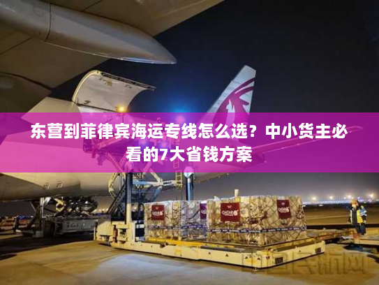 东营到菲律宾海运专线怎么选?中小货主必看的7大省钱方案 东营到菲律宾海运专线怎么选?中小货主必看的7大省钱方案
