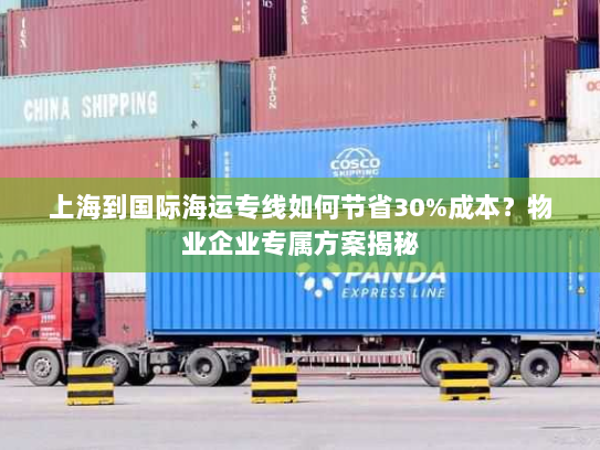 上海到国际海运专线如何节省30%成本?物业企业专属方案揭秘 上海到国际海运专线如何节省30%成本?物业企业专属方案揭秘
