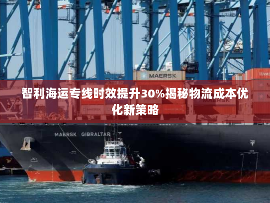 智利海运专线时效提升30%揭秘物流成本优化新策略 智利海运专线时效提升30%揭秘物流成本优化新策略