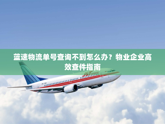 蓝速物流单号查询不到怎么办?物业企业高效查件指南 蓝速物流单号查询不到怎么办?物业企业高效查件指南
