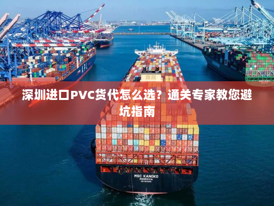 深圳进口PVC货代怎么选?通关专家教您避坑指南 深圳进口PVC货代怎么选?通关专家教您避坑指南