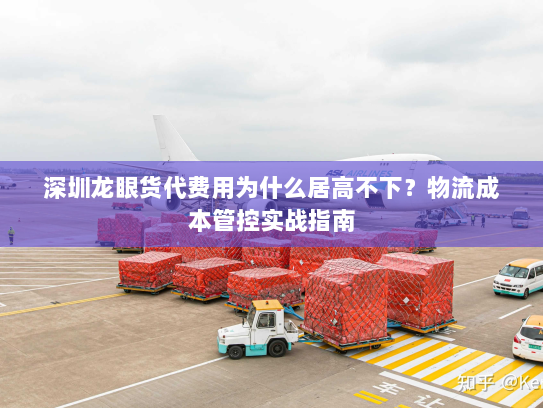 深圳龙眼货代费用为什么居高不下?物流成本管控实战指南 深圳龙眼货代费用为什么居高不下?物流成本管控实战指南