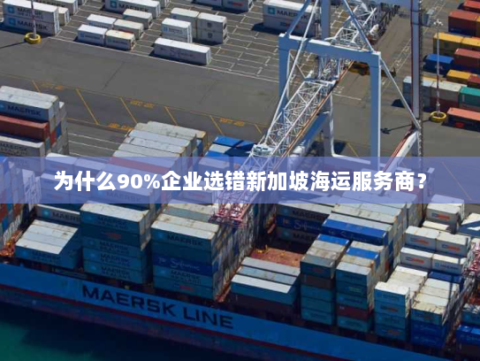 为什么90%企业选错新加坡海运服务商？