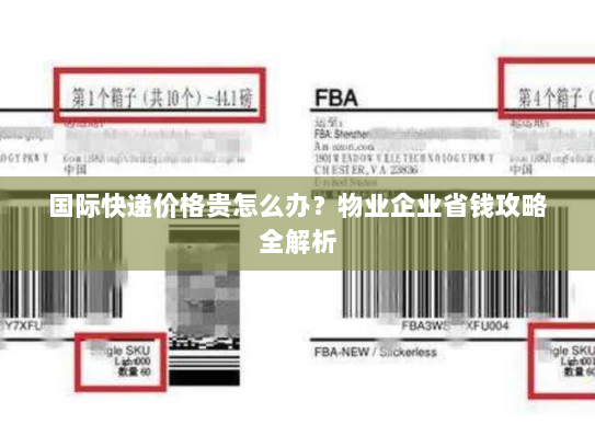 国际快递价格贵怎么办？物业企业省钱攻略全解析