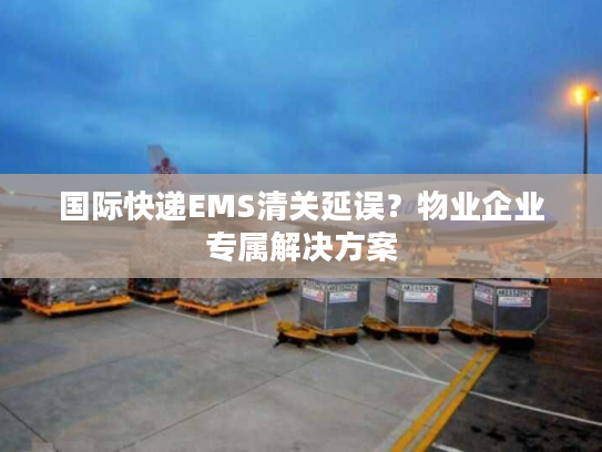国际快递EMS清关延误？物业企业专属解决方案