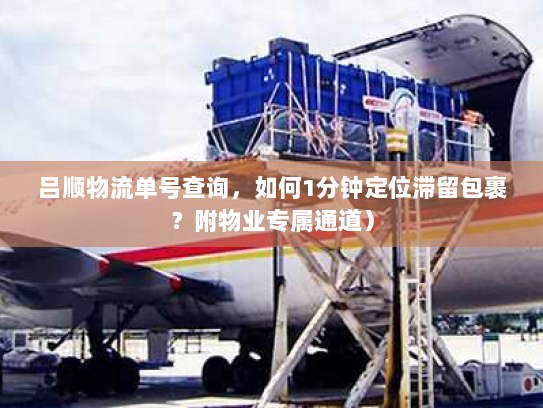 吕顺物流单号查询,如何1分钟定位滞留包裹?附物业专属通道) 吕顺物流单号查询,如何1分钟定位滞留包裹?附物业专属通道)