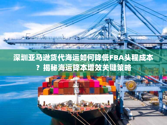 深圳亚马逊货代海运如何降低FBA头程成本?揭秘海运降本增效关键策略 深圳亚马逊货代海运如何降低FBA头程成本?揭秘海运降本增效关键策略