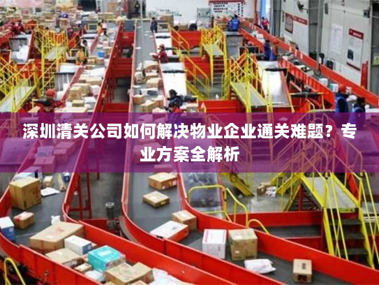 深圳清关公司如何解决物业企业通关难题?专业方案全解析 深圳清关公司如何解决物业企业通关难题?专业方案全解析