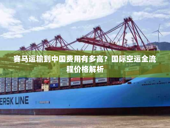 赛马运输到中国费用有多高？国际空运全流程价格解析